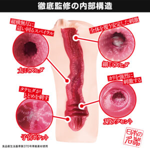 日本の名器 辻井ほのか2