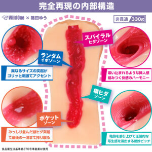 日本の名器 篠田ゆう・君島みお 2点セット2