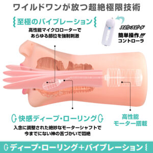 神フェラ 辻井ほのか2